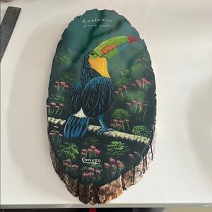 Colorful Toucan Wall Art on Wood